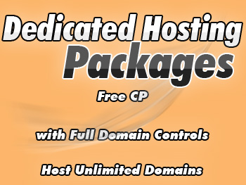 Top dedicated server services